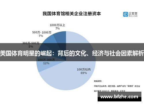 美国体育明星的崛起：背后的文化、经济与社会因素解析